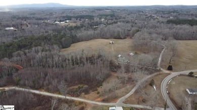 Beautiful 3.25 acre homesite offering privacy and space to build - photo 31