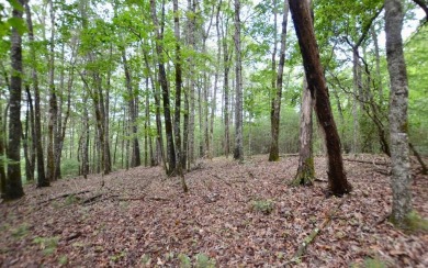 Lake Lot Sale Pending in Hiawassee, Georgia