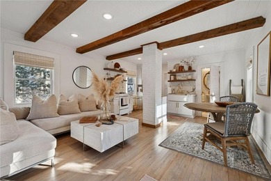 Bde Maka Ska Home For Sale in Minneapolis Minnesota