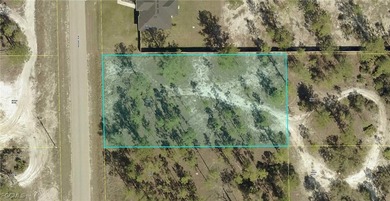 Lehigh Acres Area Lot For Sale in Lehigh Acres Florida