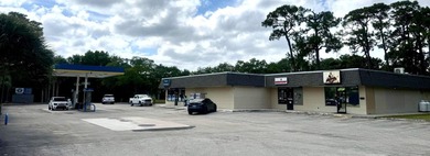 Income-producing investment and real estate opportunity in St - photo 1