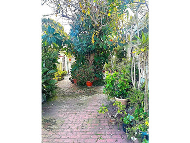 947 Manhattan Beach - photo 9