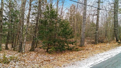 Lake Acreage For Sale in Manchester, Maine