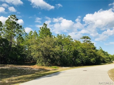 Premium homesite in Southern Woods at Sugarmill Woods - photo 2