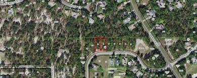Premium homesite in Southern Woods at Sugarmill Woods - photo 4