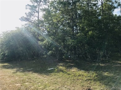 Premium homesite in Southern Woods at Sugarmill Woods - photo 6
