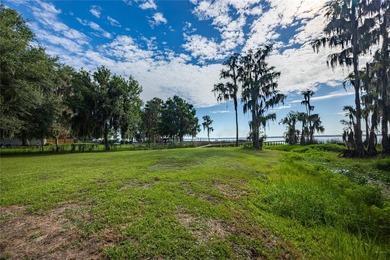 Under contract-accepting backup offers. Some homes check the - photo 44