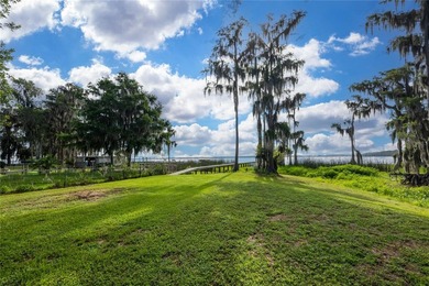 Under contract-accepting backup offers. Some homes check the - photo 45