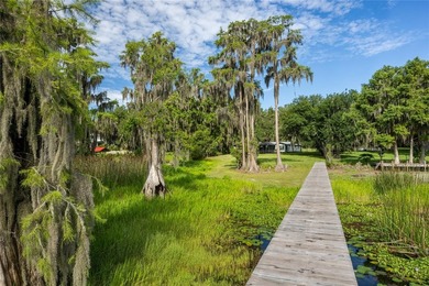 Under contract-accepting backup offers. Some homes check the - photo 48