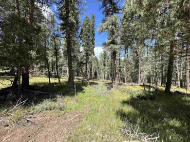 Lake Lot For Sale in Angel Fire, New Mexico