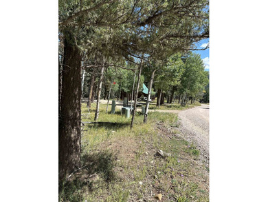 Additional listing photo 3