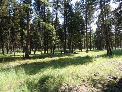 Lake Acreage Sale Pending in Seeley Lake, Montana