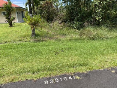 2nd to the last lot on this dead end street in Hawaiian Shores - photo 3