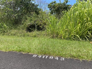 2nd to the last lot on this dead end street in Hawaiian Shores - photo 5