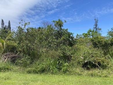 2nd to the last lot on this dead end street in Hawaiian Shores - photo 6