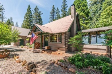 Lake Home For Sale in Trinity Center, California