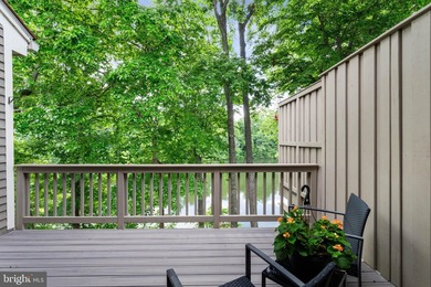 Experience the best of waterfront living in this beautifully - photo 29