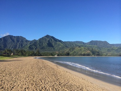 Set in the heart of Hanalei, this contemporary 3-bedroom, 2 - photo 30