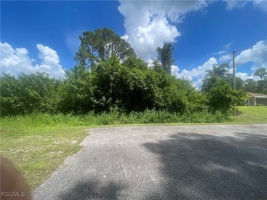 Lehigh Acres Area Lot For Sale in Lehigh Acres Florida
