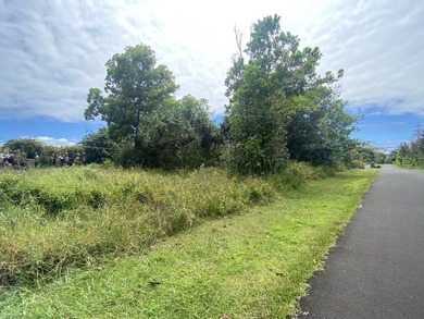 Unique lot with access from 2 streets, Kahala St and Kumu St - photo 3