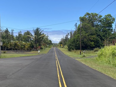 Unique lot with access from 2 streets, Kahala St and Kumu St - photo 4