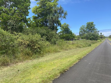 Unique lot with access from 2 streets, Kahala St and Kumu St - photo 6