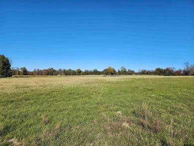 Lake Bob Sandlin Lot For Sale in Pittsburg Texas