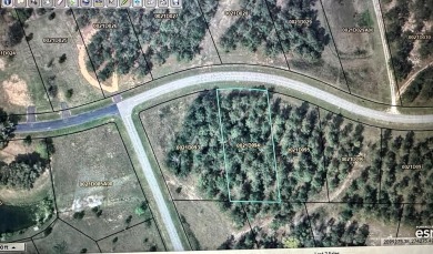  Lot For Sale in Bainbridge Georgia