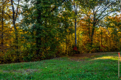 1.41 Acre Wooded Lot in Turners Landing w/ Seasonal Lakefront - photo 10