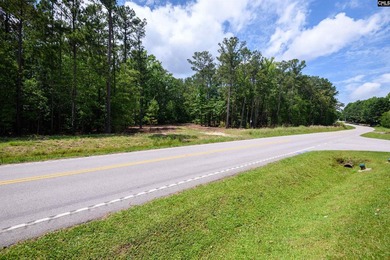Discover a rare opportunity to own a spacious estate lot in one - photo 4
