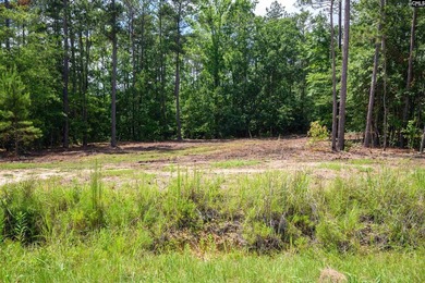 Discover a rare opportunity to own a spacious estate lot in one - photo 5