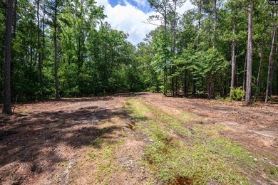Discover a rare opportunity to own a spacious estate lot in one - photo 6