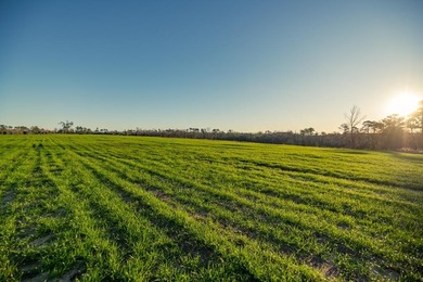 (private lake, pond, coastal) Commercial For Sale in Attapulgus Georgia