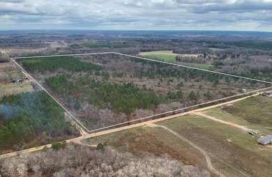 Lake Lot For Sale in Slocomb, Alabama