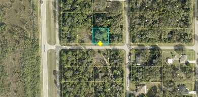Lehigh Acres Area Lot For Sale in Lehigh Acres Florida