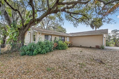 This charming North Fort Myers River Bend subdivision home - photo 6