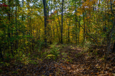 1.41 Acre Wooded Lot in Turners Landing w/ Seasonal Lakefront - photo 11