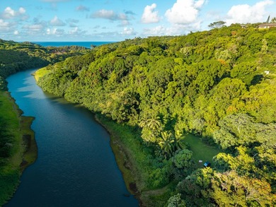 Unique offering combining a move-in ready home, nearly 2 acres - photo 26