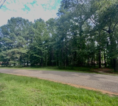 SOLD!!! Thank You Lord For Your Blessings!!!  SOLD - Lake Lot SOLD! in Pachuta, Mississippi
