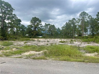 Lehigh Acres Area Lot For Sale in Lehigh Acres Florida