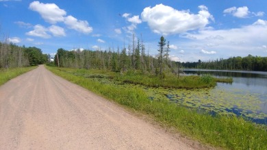 Lake Acreage For Sale in Haight Township, Michigan