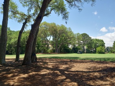 Lake Lot Sale Pending in Johns Island, South Carolina