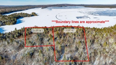 Lake Acreage For Sale in Cathance Twp, Maine