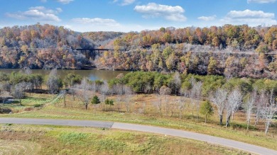 (private lake, pond, creek) Lot For Sale in Hardy Virginia