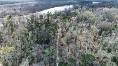 Sabine River - Newton County Acreage For Sale in Bon Wier Texas