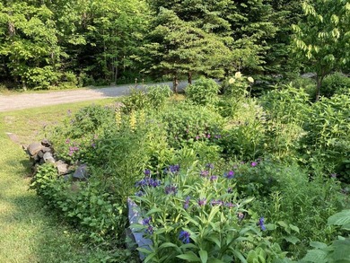 Beautifully sited house on 2.3 acres of fruit trees and gardens - photo 33