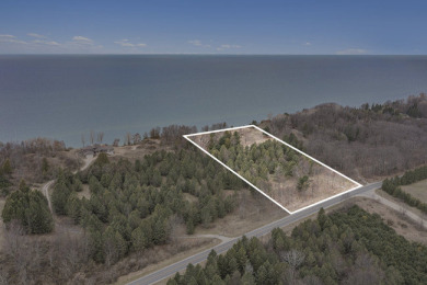 Online Auction - Beautiful Lake Michigan Frontage on 12.7 Acres - Lake Acreage For Sale in Montague, Michigan