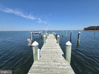 Enjoy breathtaking Honga River and Chesapeake Bay views from - photo 8
