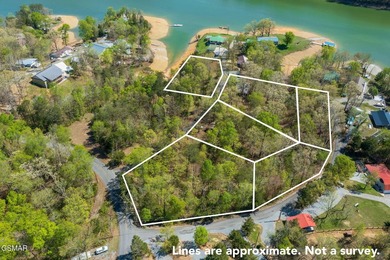 6 LOTS TOTALING APPROXIMATELY 2.54 ACRES!! A Rare Douglas Lake - photo 3