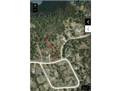Five Lakes - Otsego County Lot For Sale in Gaylord Michigan